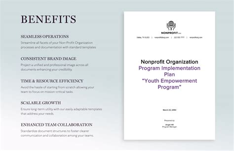nonprofit program implementation